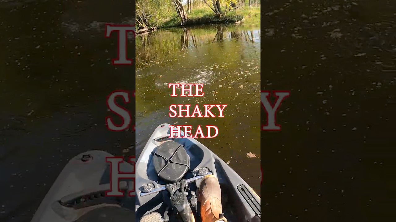 Catching A Fish On Every Way To Rig A Creature Bait: The Shaky Head! #fishing