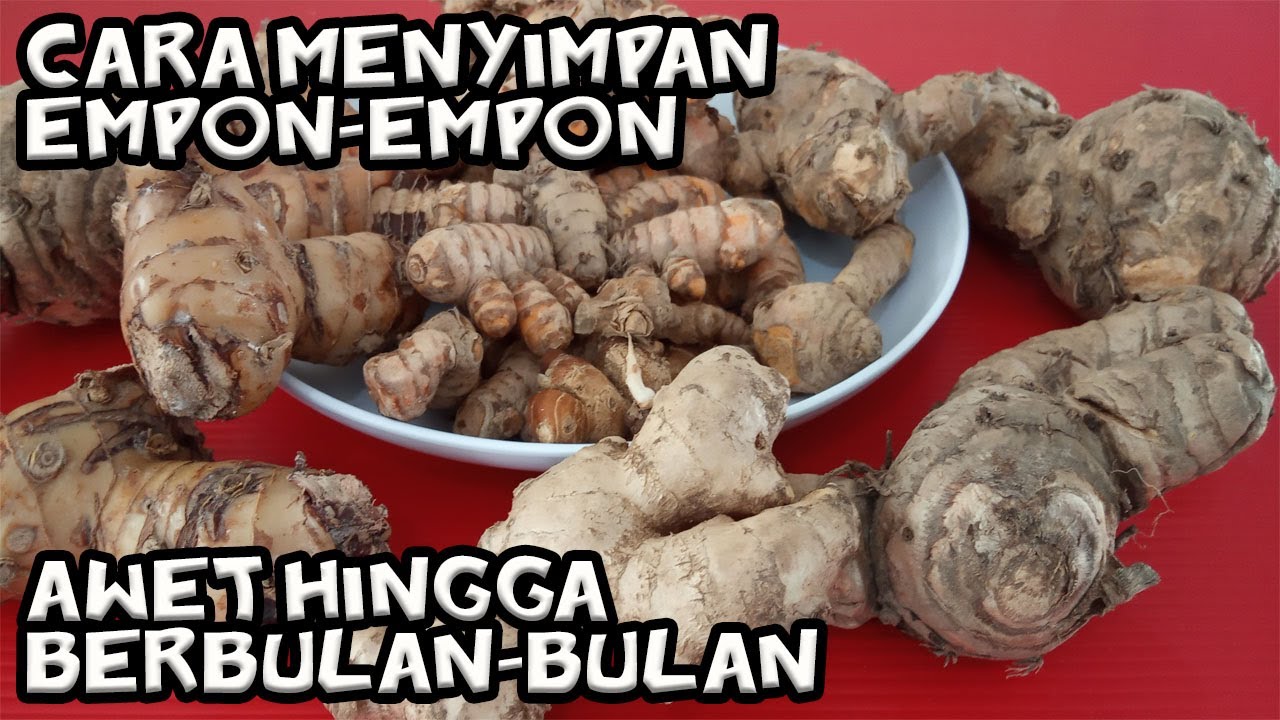 Cara simpan Laos, Kunyit, Jahe, Kencur, Kunci & Temulawak agar awet hingga berbulan-bulan