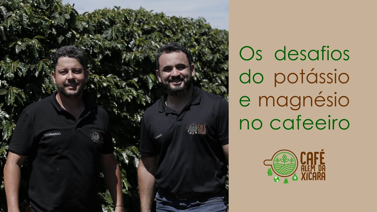 Café Além da Xícara | Os desafios do potássio e magnésio no cafeeiro