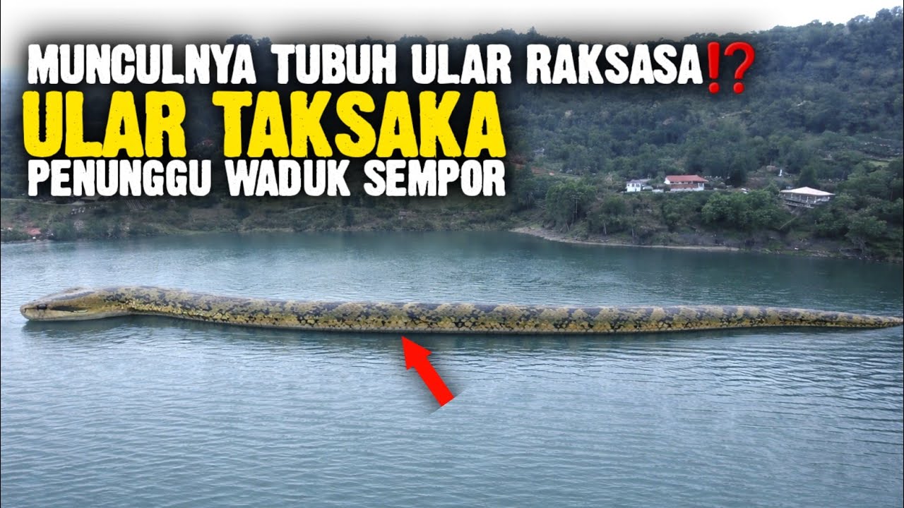 Kisah Mistis Taksaka, Penjaga Gaib Waduk Sempor Kebumen