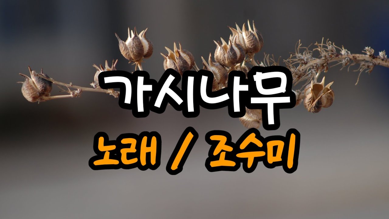 가시나무 The thorn tree(노래 조수미 SUMI JO) 영상편집 PMW46