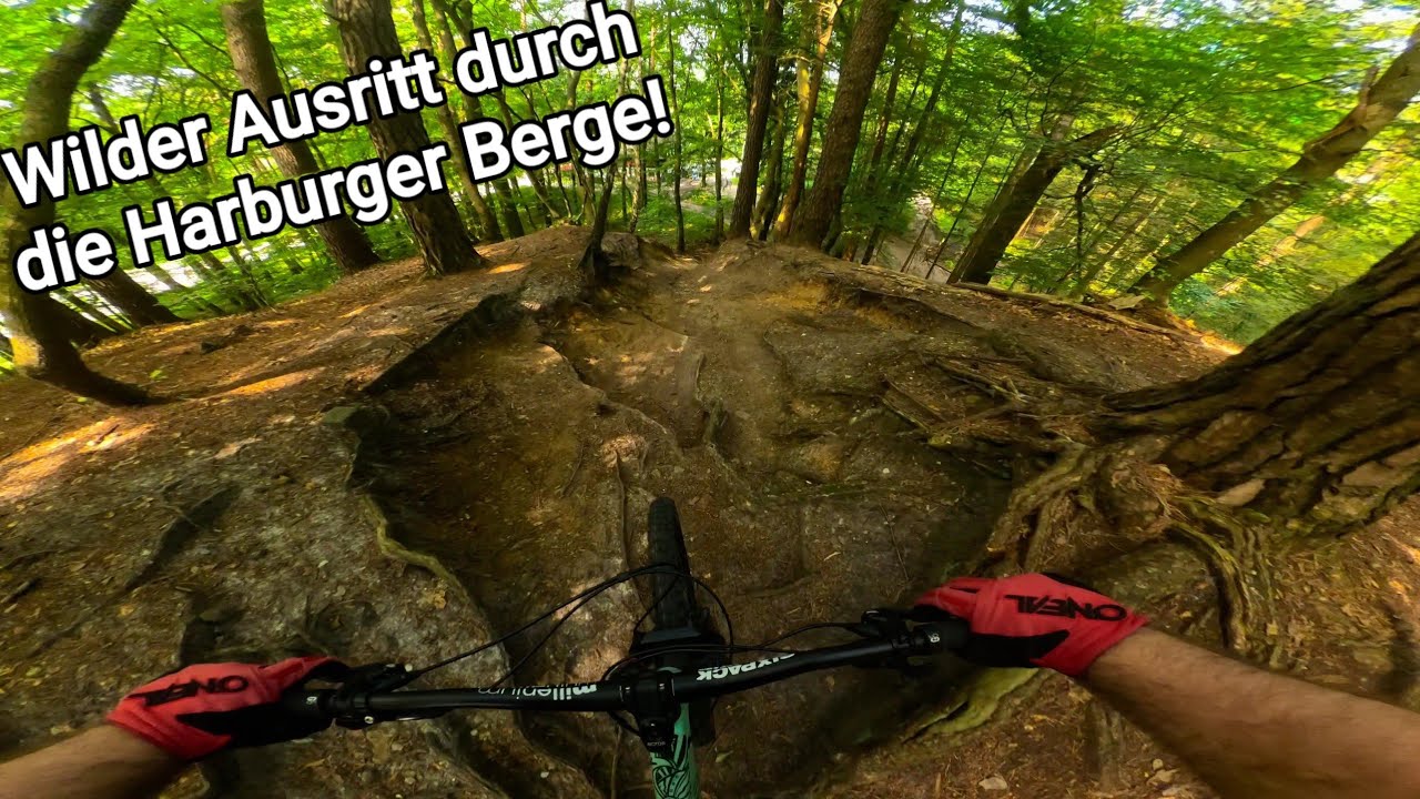 Wilder Ausritt durch die Harburger Berge!