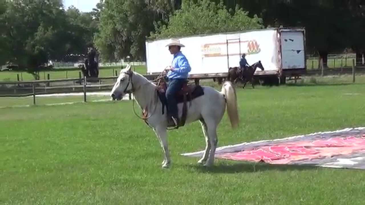 Tim Haupt Intermediate 2nd Run Darby Oaks EXCA