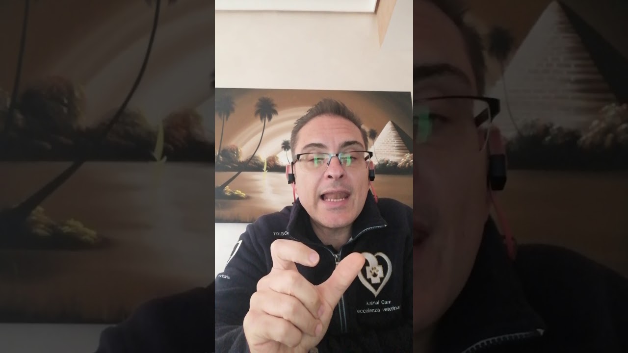 𝗜𝗻𝘀𝘂𝗳𝗳𝗶𝗰𝗶𝗲𝗻𝘇𝗮 𝗿𝗲𝗻𝗮𝗹𝗲, 𝗰𝗼𝗺𝗲 𝗹𝗮 𝗱𝗶𝗲𝘁𝗮 𝗽𝘂𝗼̀ 𝗮𝗶𝘂𝘁𝗮𝗿𝗲 𝗶𝗹 𝗰𝗮𝗻