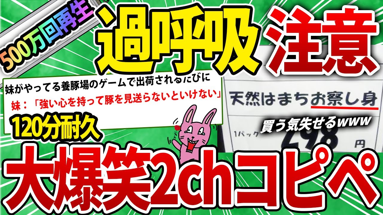 【大総集編】500万人が笑った!!無心で笑える120分耐久の腹筋崩壊コピペ468連発！