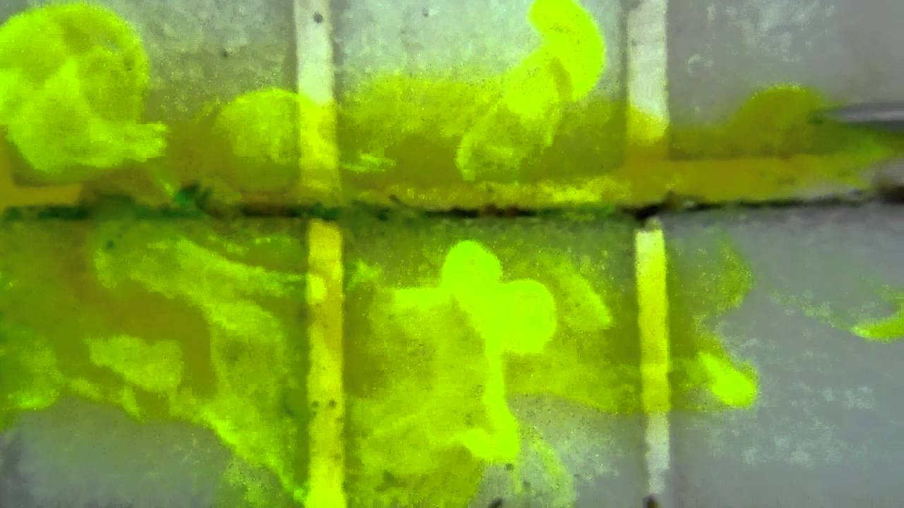 Fuite trouvé avec la fluoresceine dans une fracture entre des carreaux