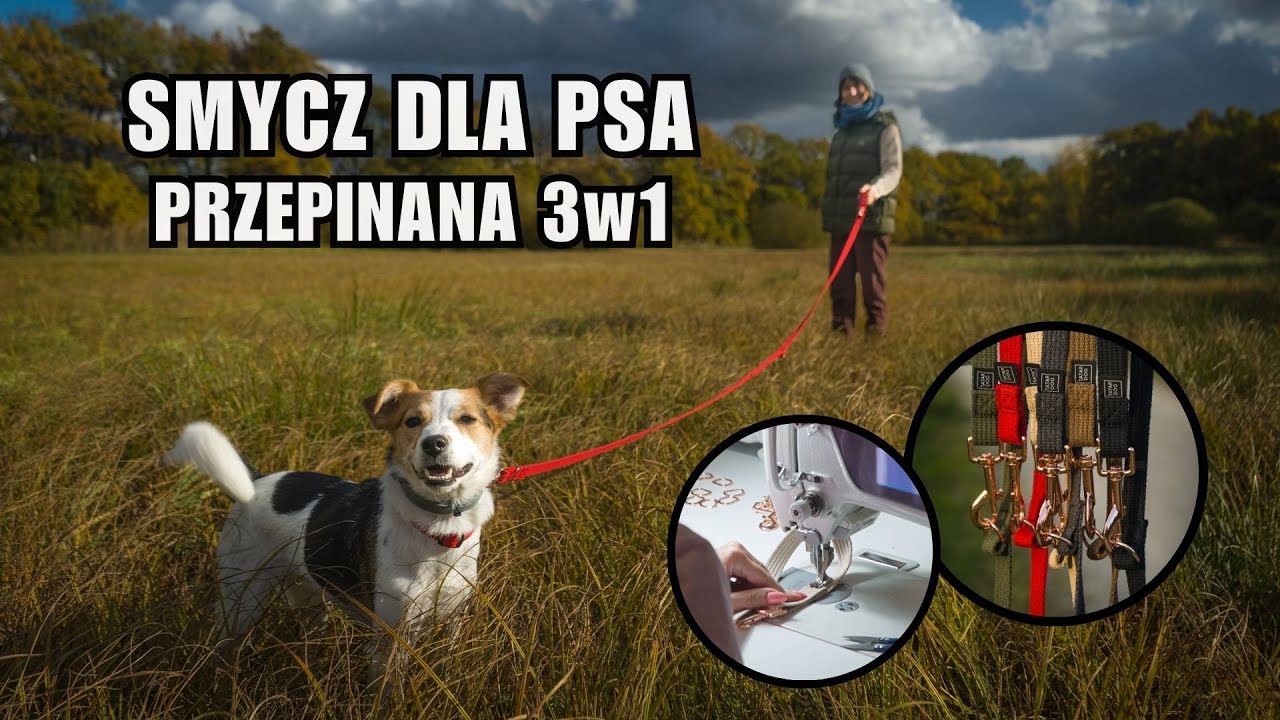 SMYCZ PRZEPINANA DLA PSA – JAK DZIAŁA SMYCZ 3w1 DLA MAŁEGO I ŚREDNIEGO PSA? | TATAR DOG