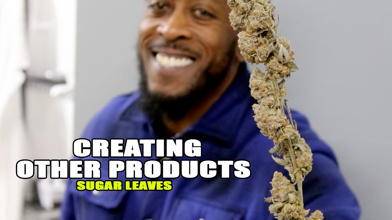 Creating Other Products with Sugar Leaves!