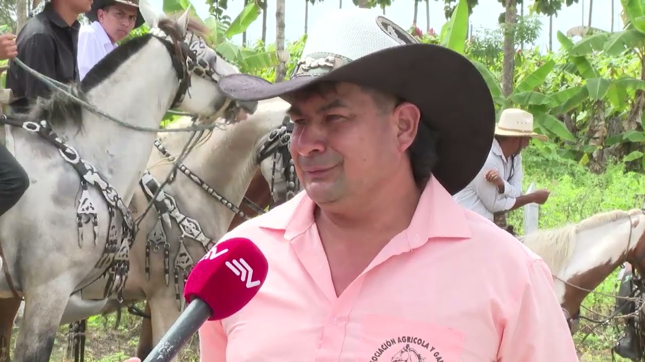 Salitre conserva la cultura montubia con una cabalgata