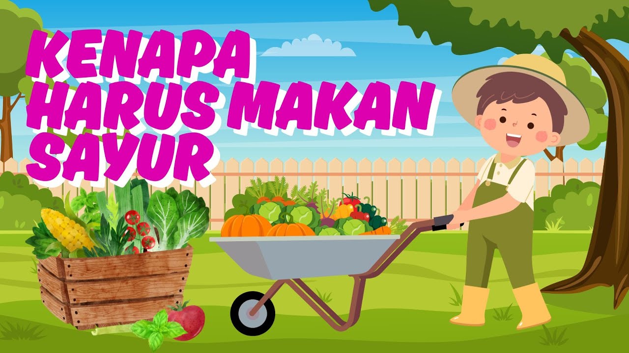 EDUKASI ANAK KENAPA KITA HARUS MAKAN SAYUR - children's education why we should eat vegetables