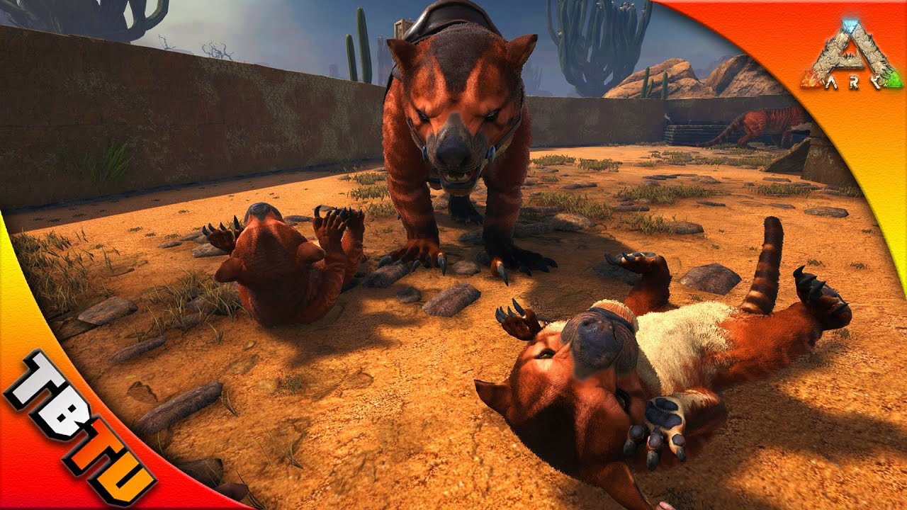 ПРИРУЧЕНИЕ ТИЛАКОЛЕЙ! РАЗВЕДЕНИЕ И ИМПРИНТИНГ ТИЛАКОЛЕЙ! Игровой процесс Ark Scorched Earth — Gam...