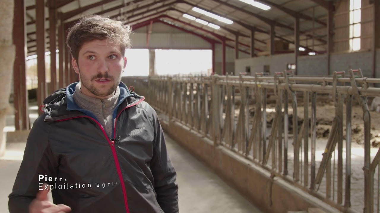La ventilation du bâtiment d'élevage