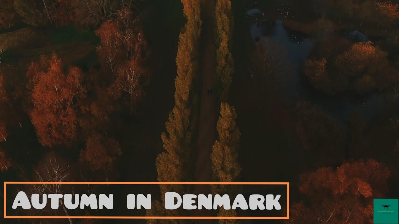 Denmark, Valbyparken: Drone