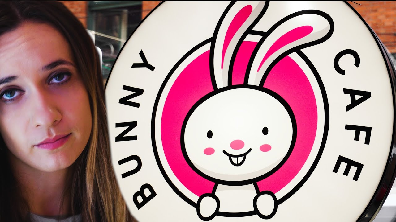 Pierwsza w Europie Królicza Kawiarnia BUNNY CAFE - kawiarnia z królikami