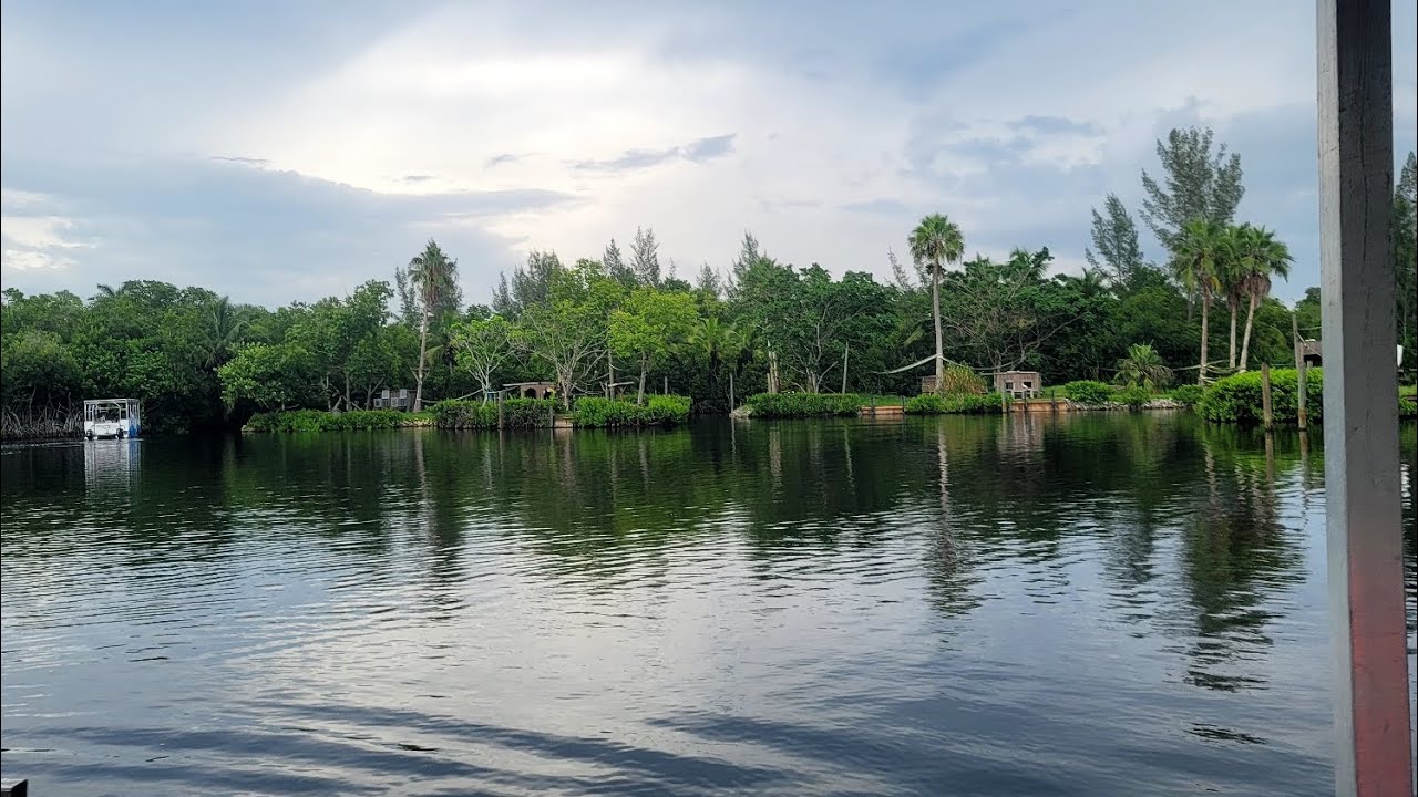 Naples Zoo Boat Tour of Lemur Islands 🏝 #lemurs 