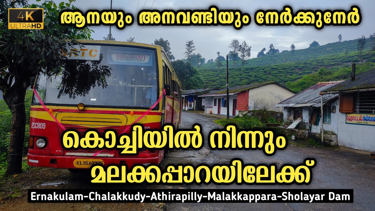 Ksrtc Malakkappara Trip | Kochi To Malakkappara | Via Athirappilly | Best Forest Route #malakkappara