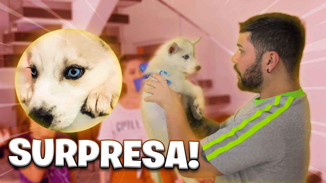 FIZ A MELHOR SURPRESA PARA ELE! (VEJA A RE4ÇÃO)