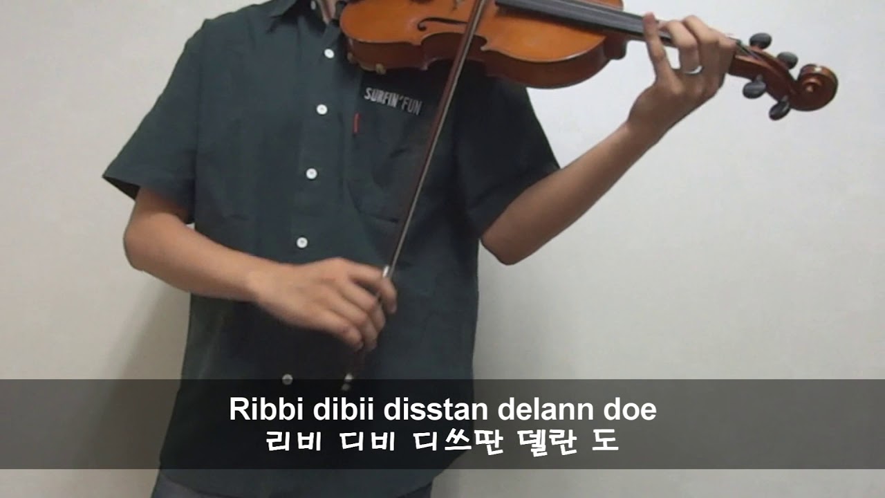 [Project Violin] Ievan Polkka(파돌리기 송) violin cover