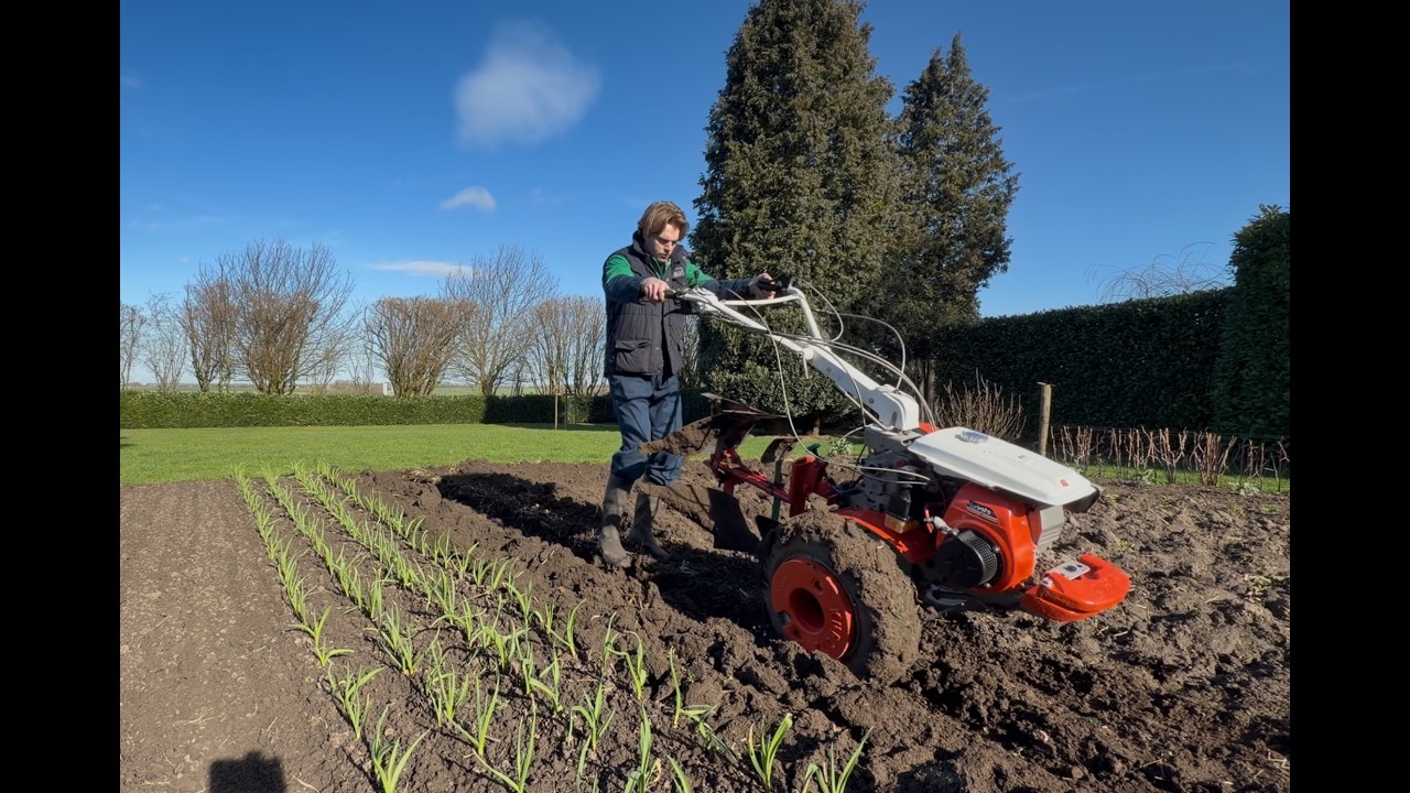 MARS AU POTAGER (préparation de la terre et semis des petits pois)