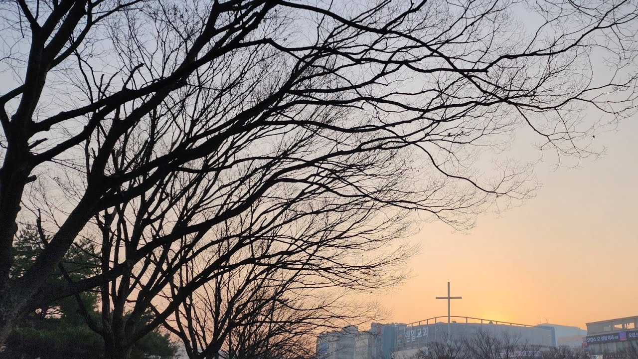 #5036 ★ (인내) 아침산책 RPA 로어 △ 26/03 * 목요일, #03/12