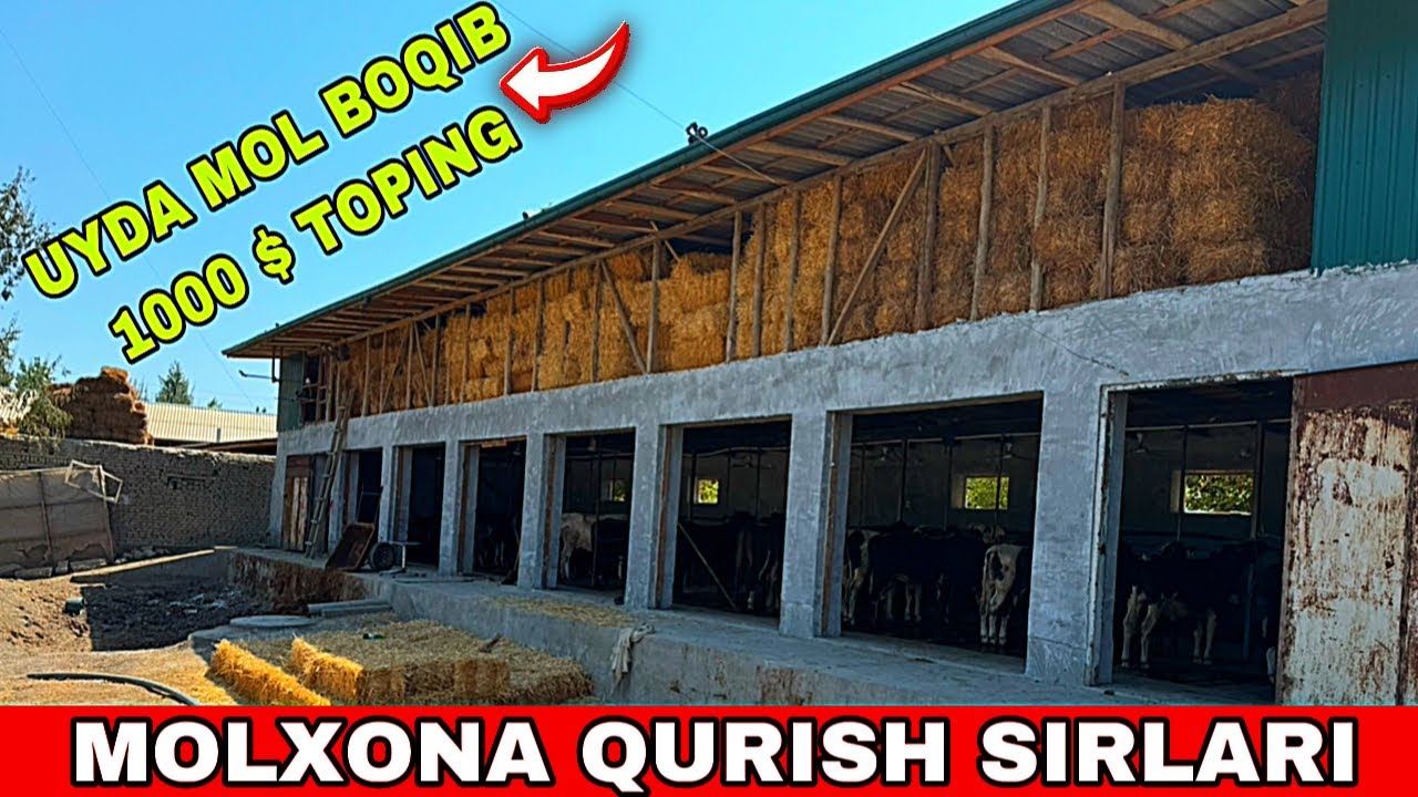 MOLXONA QURISH SIRLARI AL TEMUR DRABILKASI N1👍