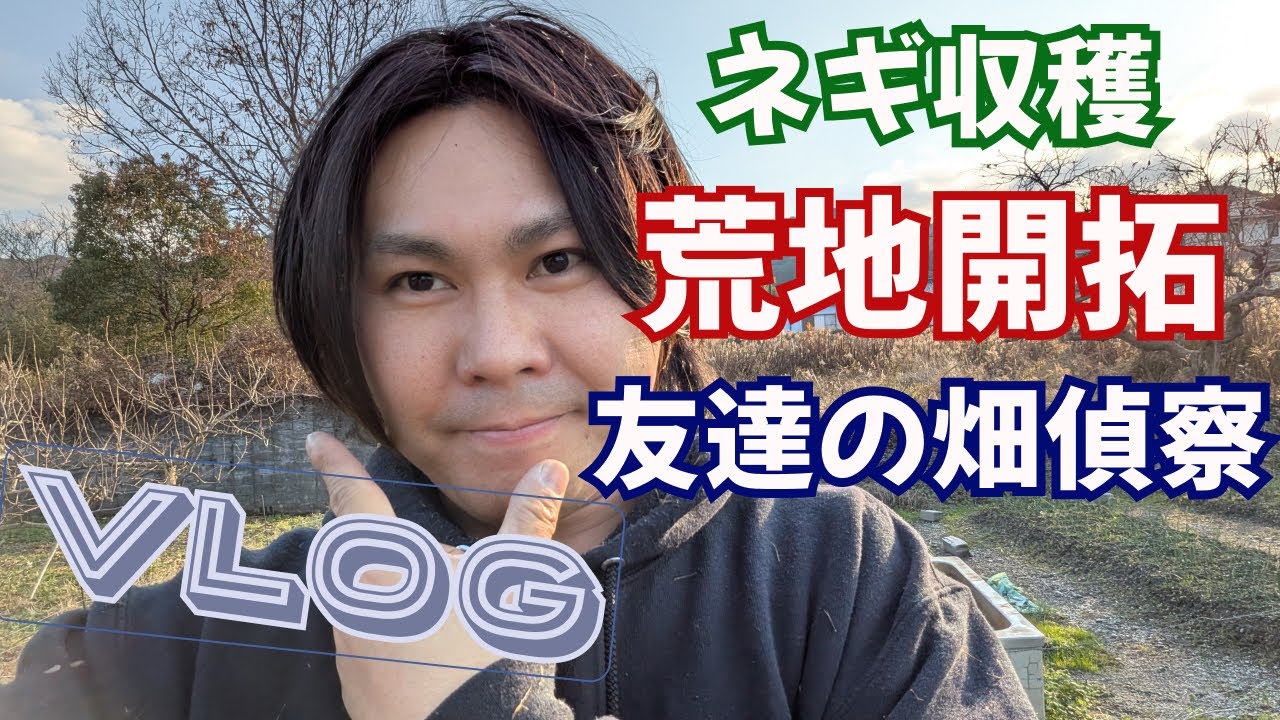 ネギ収穫して荒地の開拓して友達の畑を偵察に行った1日