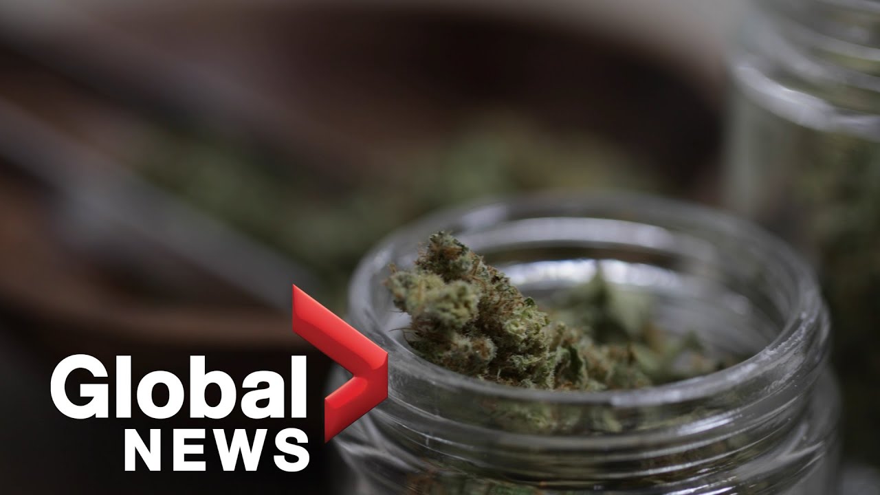 Canada&rsquo;s cannabis industry has a diversity problem