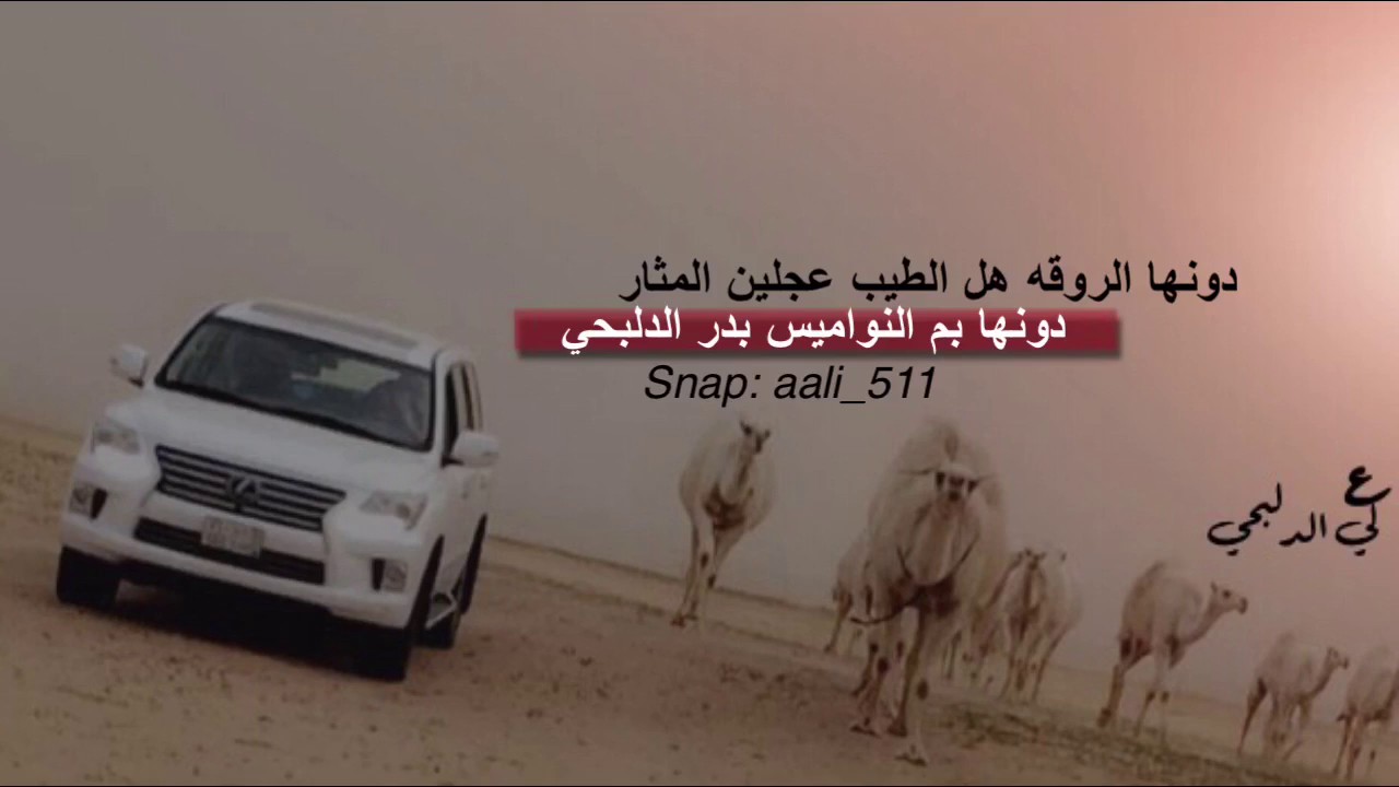 الراهيه فردية رجل الاعمال | بدر مهل الدلبحي / مونتاج علي الدلبحي