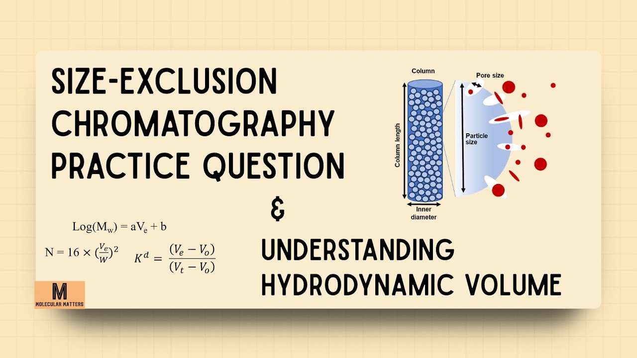 Calculations in Size Exclusion Chromatography 