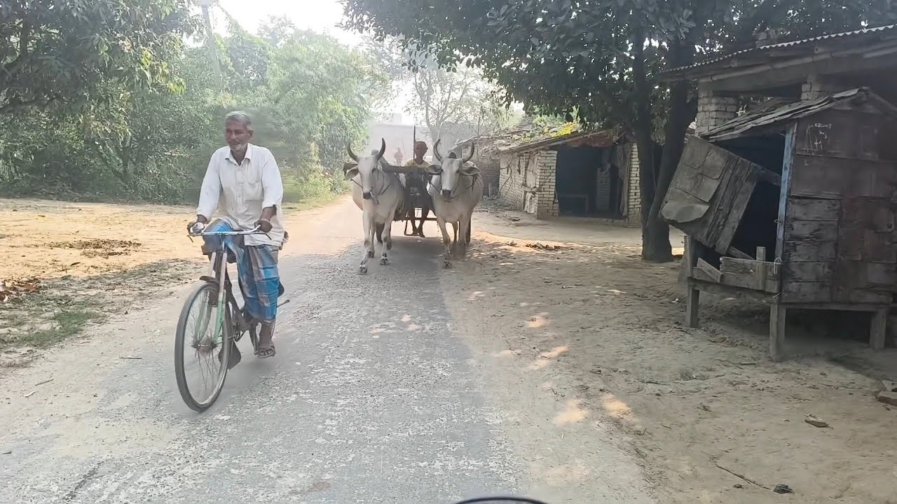 Town Vs Village Life Vlogs