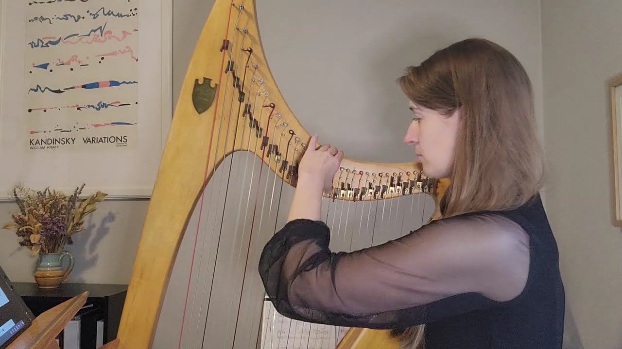 HYHE Practice Video: Aces High - Harp 3