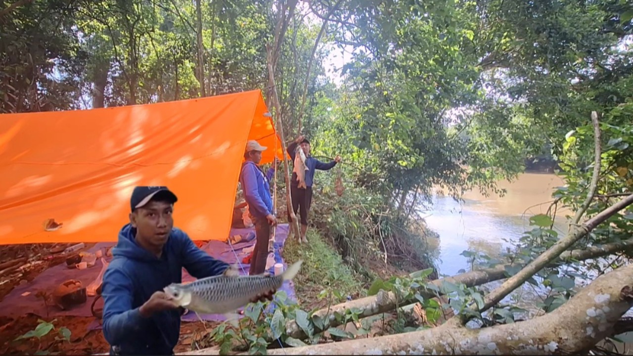 Camp fishing di hutan kalimantan sarang ikan babon  eposed 54