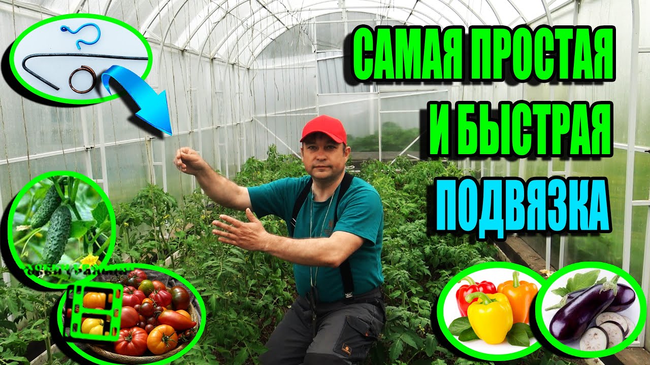 СУПЕР ПОДВЯЗКА ПОМИДОР, ПОДВЯЗКА ОГУРЦОВ, ПЕРЦЕВ И БАКЛАЖАНОВ. ЭКОСАД (ОГОРОД) И ТЕПЛИЦА 22-24