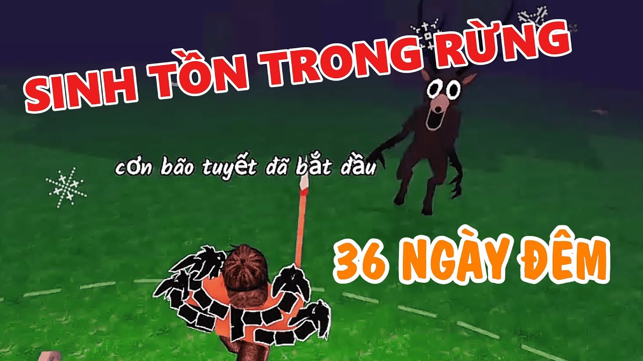 Sinh tồn 36 ngày đêm trong rừng cùng các bạn.