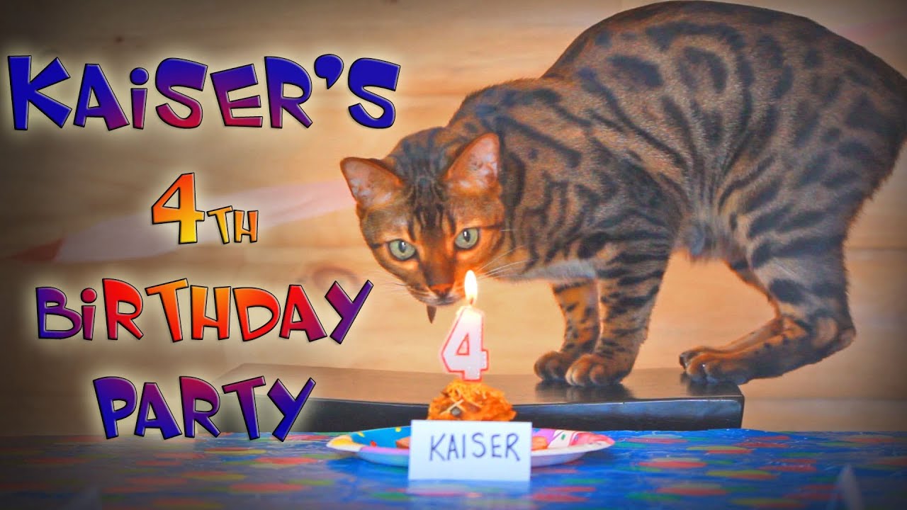 Kaiser's 4th Birthday Party