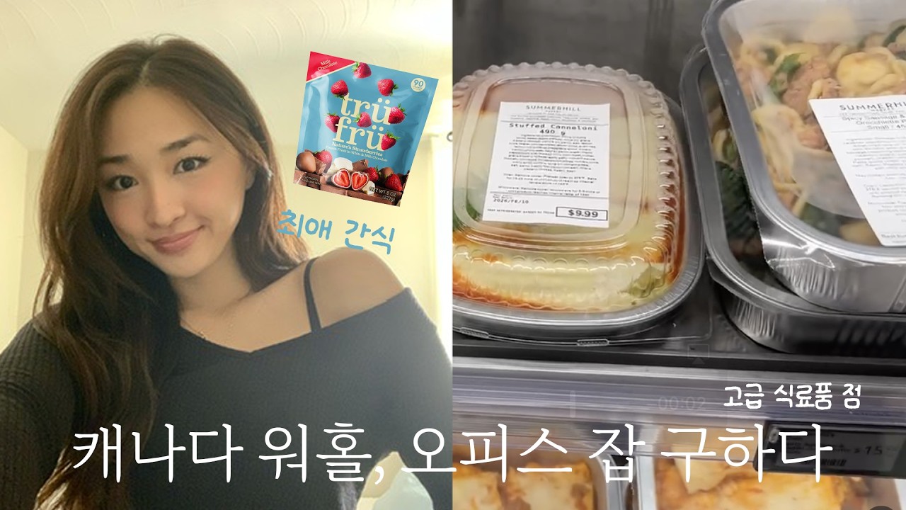 그동안 업데이트가 없던 이유....