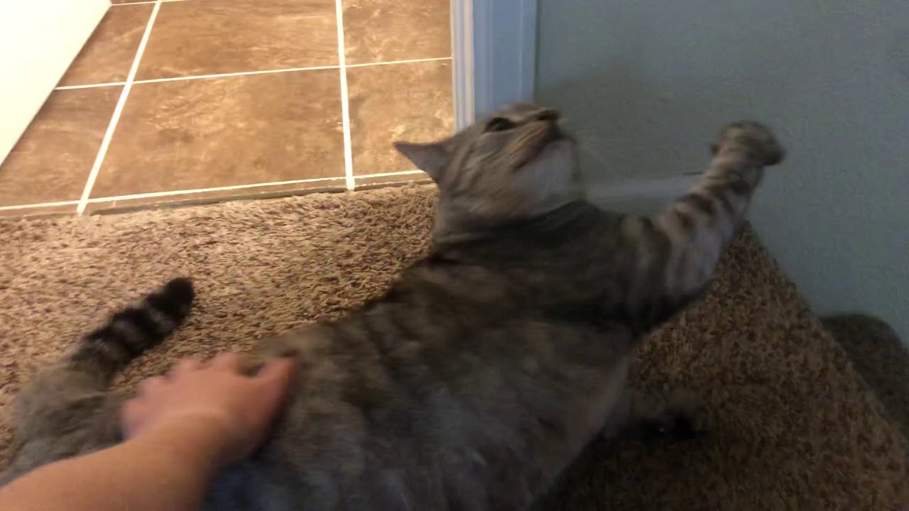 Hitting that sweet spot