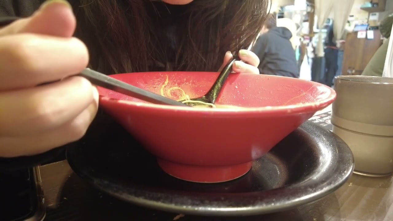 【躁鬱ボーダー女】障害者手帳の更新に行ってきた日のVlog【初投稿】