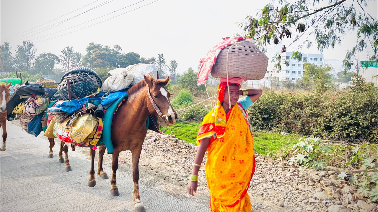 आज आपल बिऱ्हाड आणायला आई एकटीच राहिली त्यामुळे खूपच त्रास झाला 😕