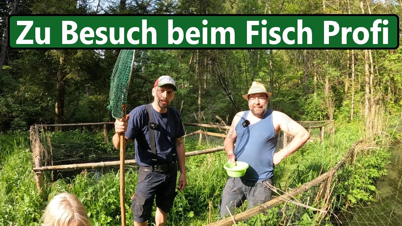 zu Besuch bei Garten Gysi´s Fischzucht
