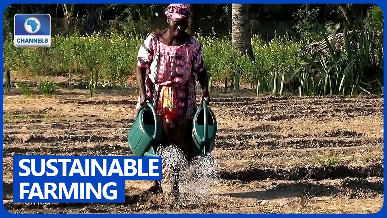 How To Prevent Deforestation While Farming
