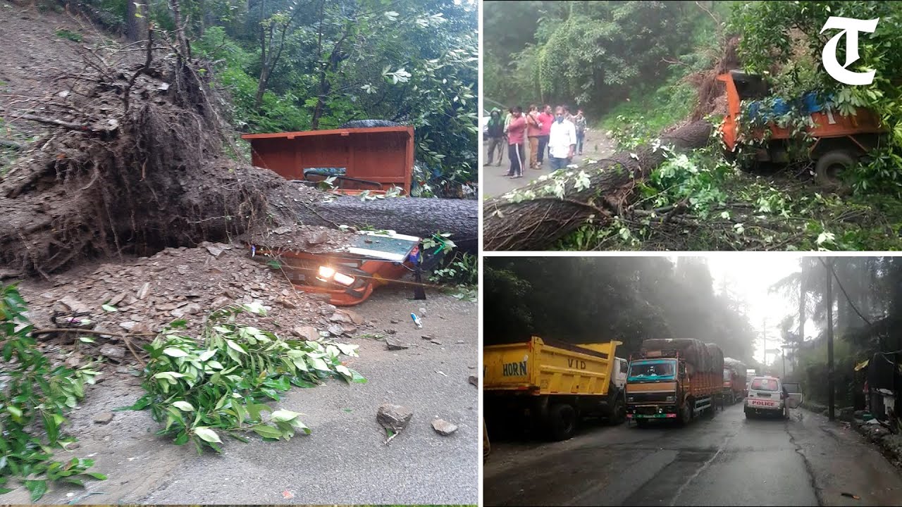 Khalini-Kanlog road in Shimla blocked for 4 hours after tree falls