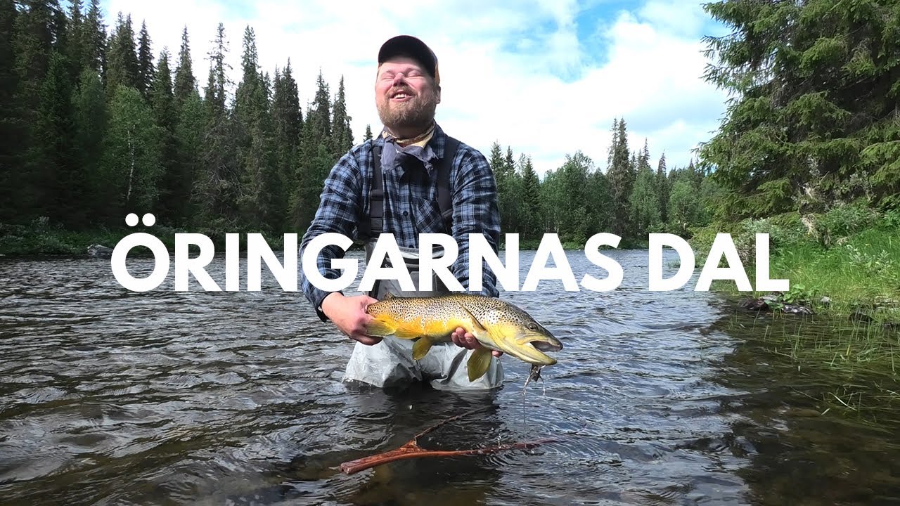 VLOGG - ÖRINGARNAS DAL