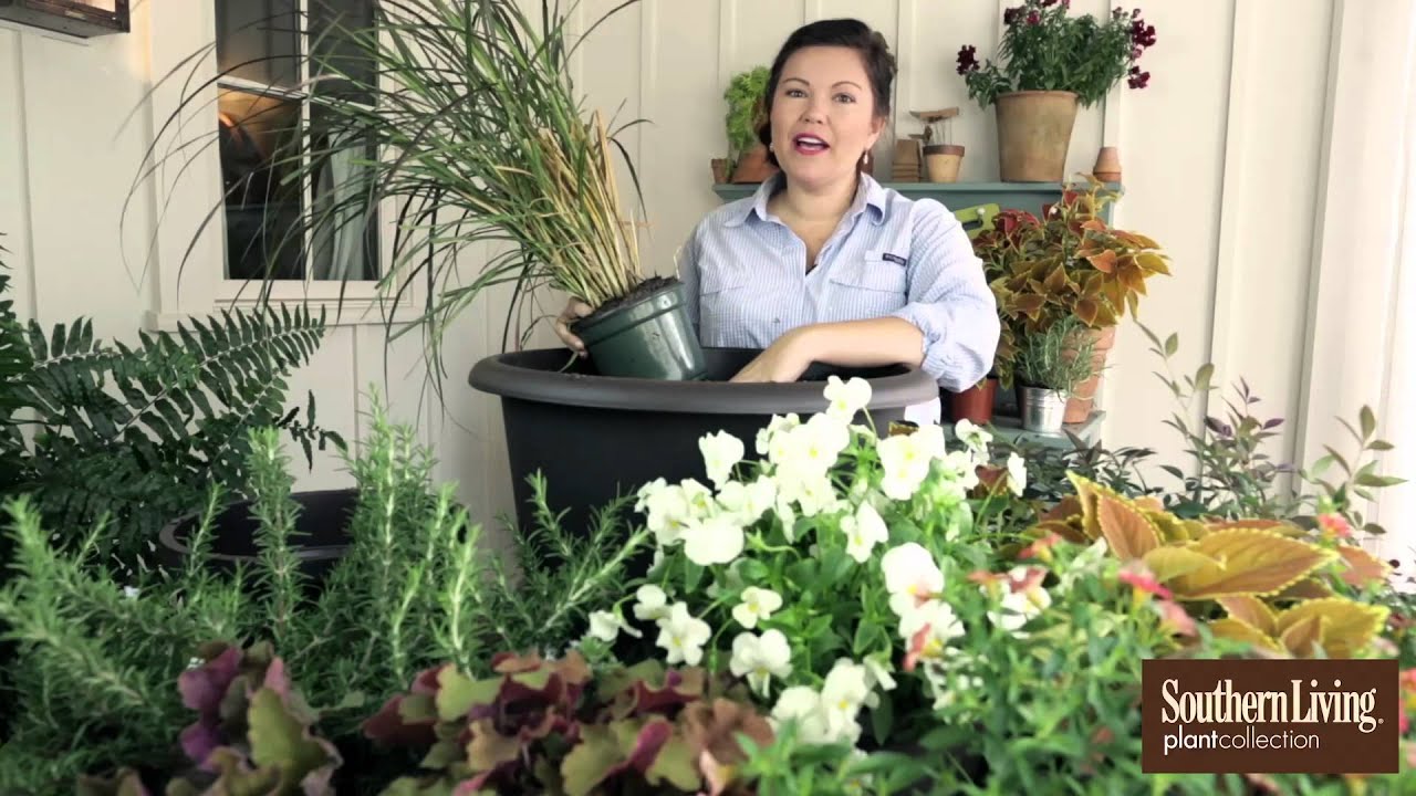 How to Plant a Fall Container Garden with Carmen Johnston and Southern Living