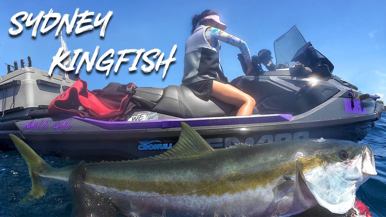 Spearfishing Kingfish in Sydney | Tagged Fish + Sushi Catch & Cook