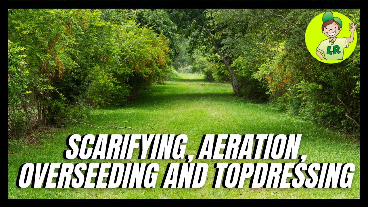Scarifying, Aerating, Overseeding And Topdressing (full lawn renovation)