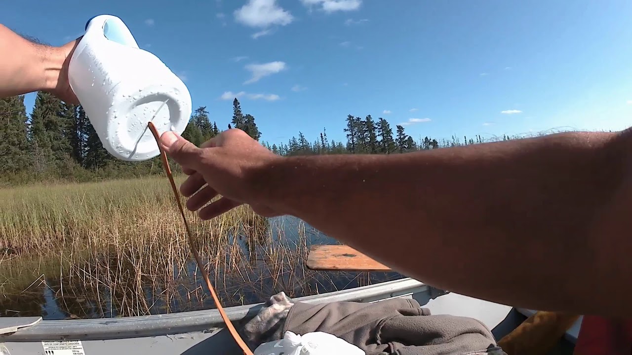 Doug's DIY Moose Call