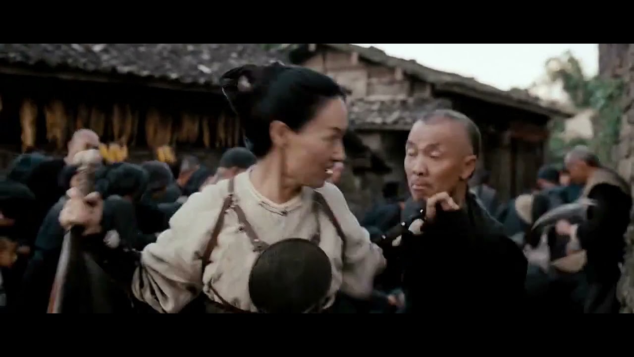 Wu Xia DonnieYen