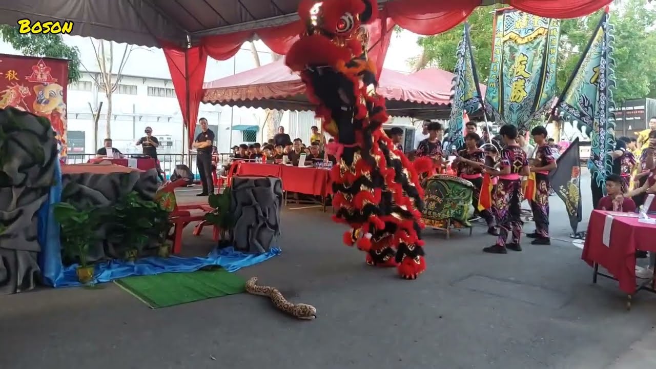 马六甲第一届文威杯传统南狮公开赛马六甲俊胜龙狮体育会Malacca 1st Wen Wei Lion Dance Cup 2025