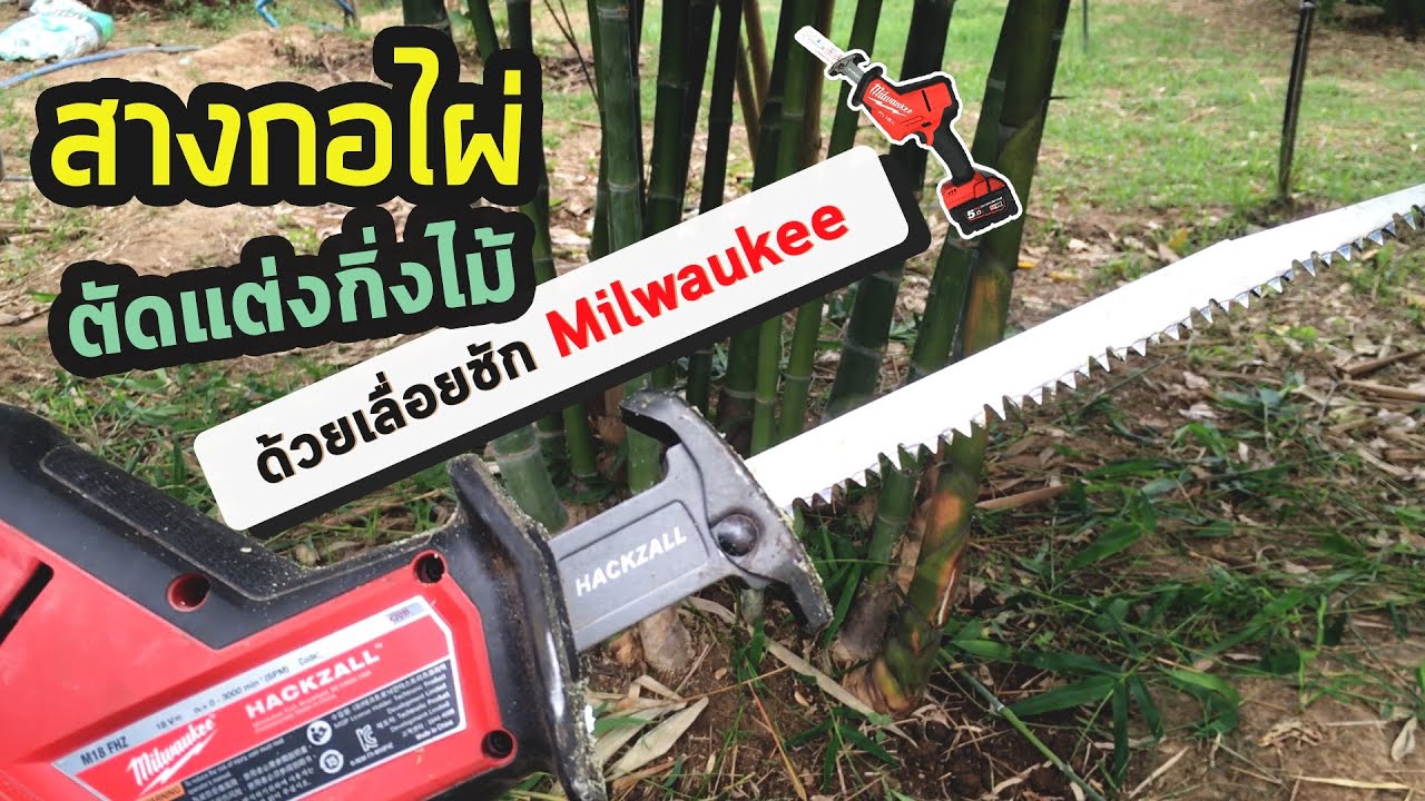 ตัดกิ่งไม้ | แต่งกอไผ่🌴🌲 ให้สวยงาม | ด้วยเลื่อยชักไร้สาย Milwaukee Hackzall M18